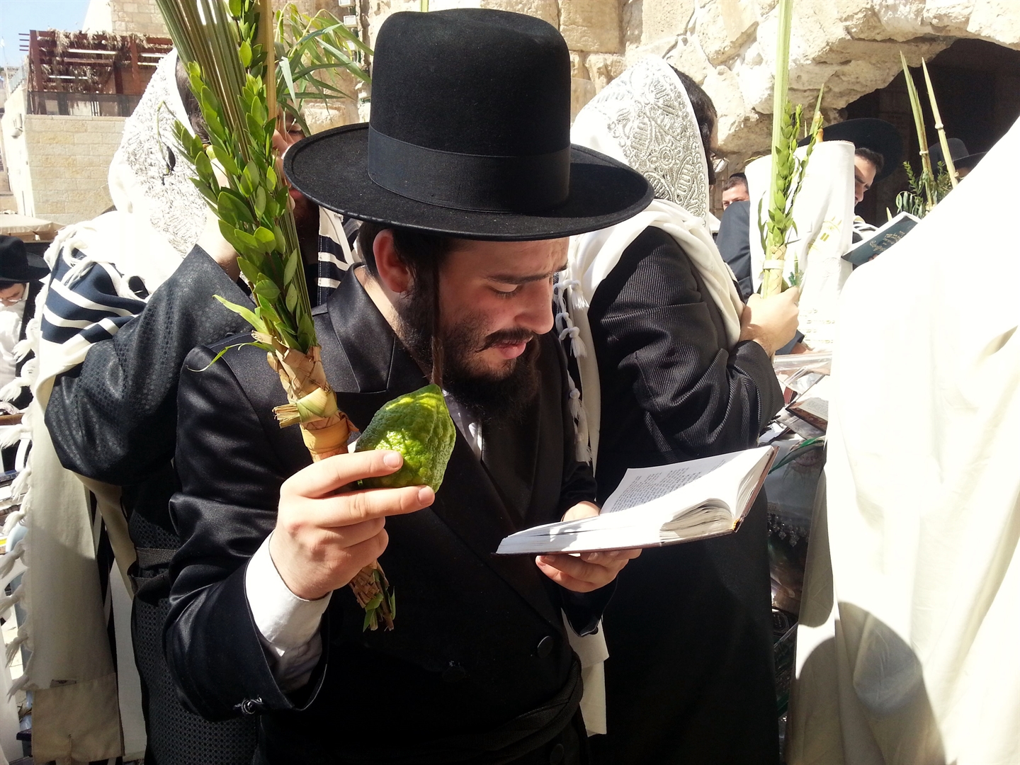 上图:犹太人手持住棚节四祥植物(Sukkot Four Species),在耶路撒冷西墙颂唱「哈利路诗篇」(Hallel Psalms)。